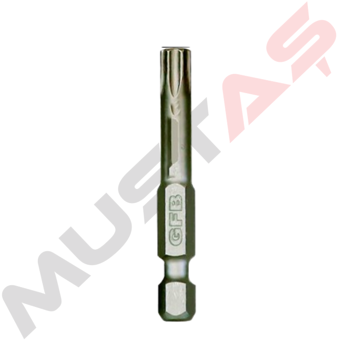 Gfb Torx Bits Uç Serisi